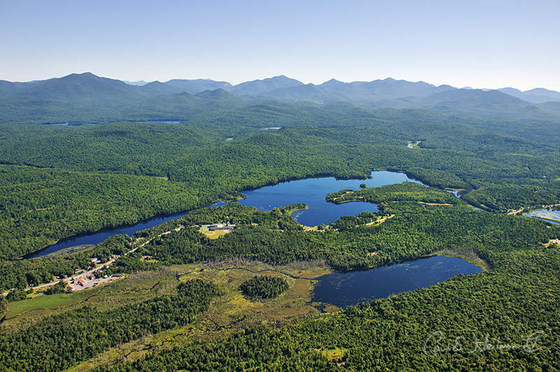 5 Things You Need to Know |August 2020 ADK Conservation News