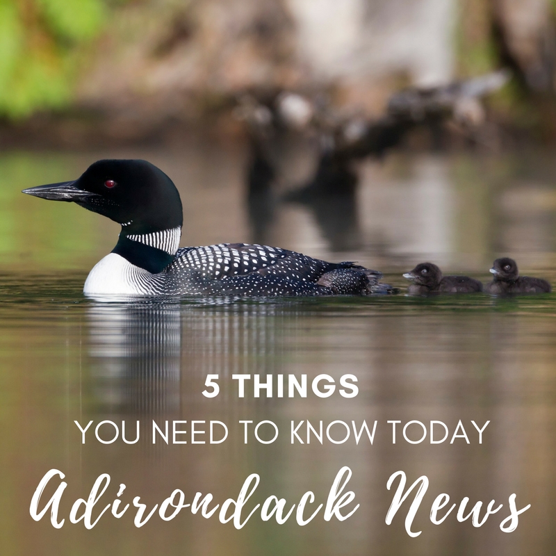 5 Things You Need to Know Today | Adirondack News