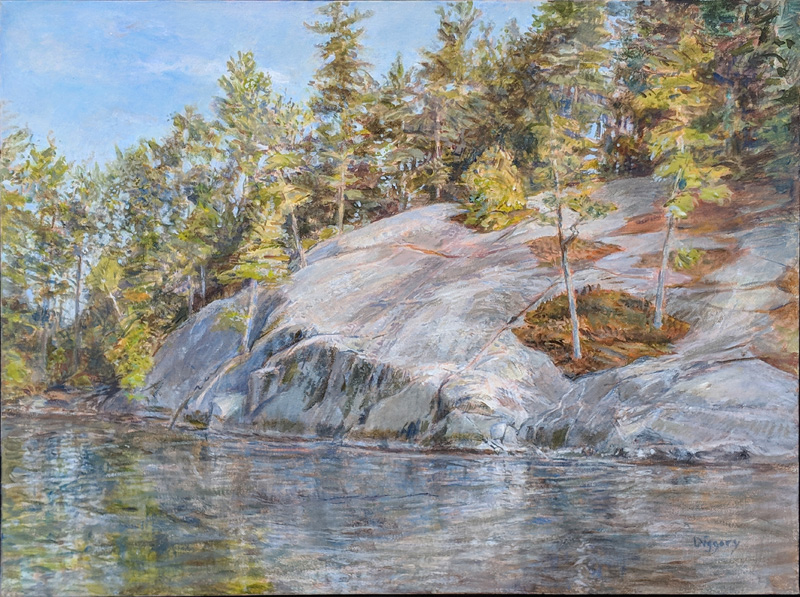 Adirondacks & My Art | Interview with Artist Anne Diggory  