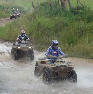 Defend Your Forest Preserve from the Impacts of ATVs!