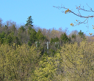 Feds Preserve Local & Adirondack Park Agency Jurisdiction over Size, Shape of Cell Towers