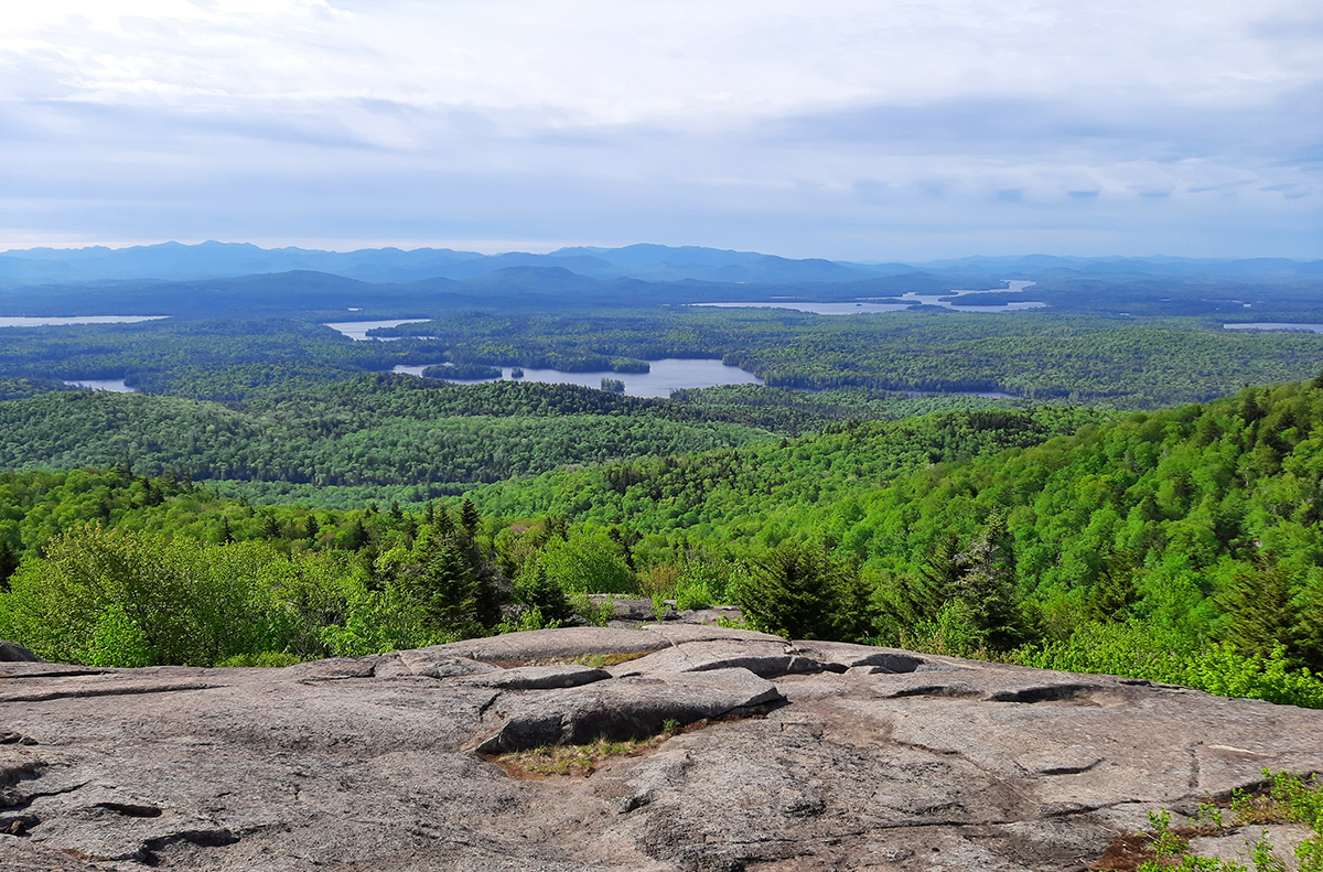 5 Things You Need to Know | February 2022 ADK Conservation News