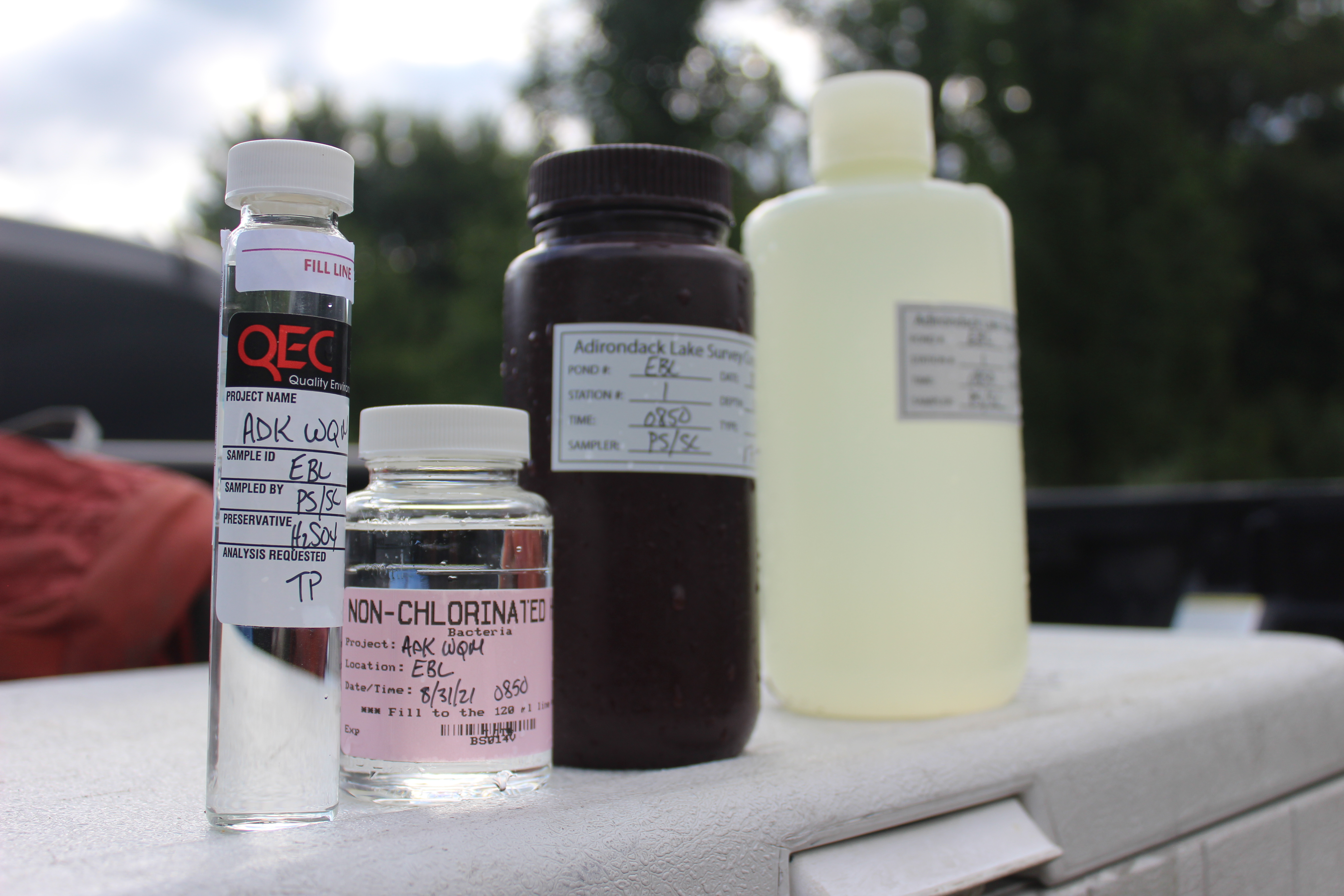 water samples in jars