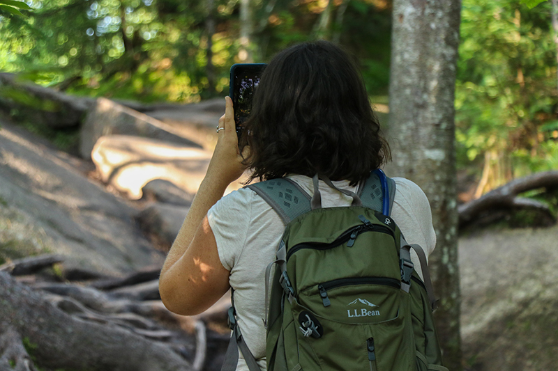 5 Things You Can Do to Be A Better Advocate for the Adirondacks on Social Media