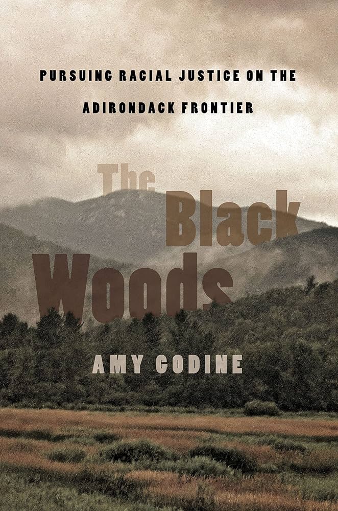 the cover of The Black Woods book