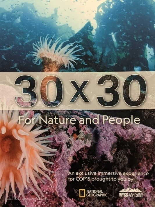 30 x 30 cover from National Geographic
