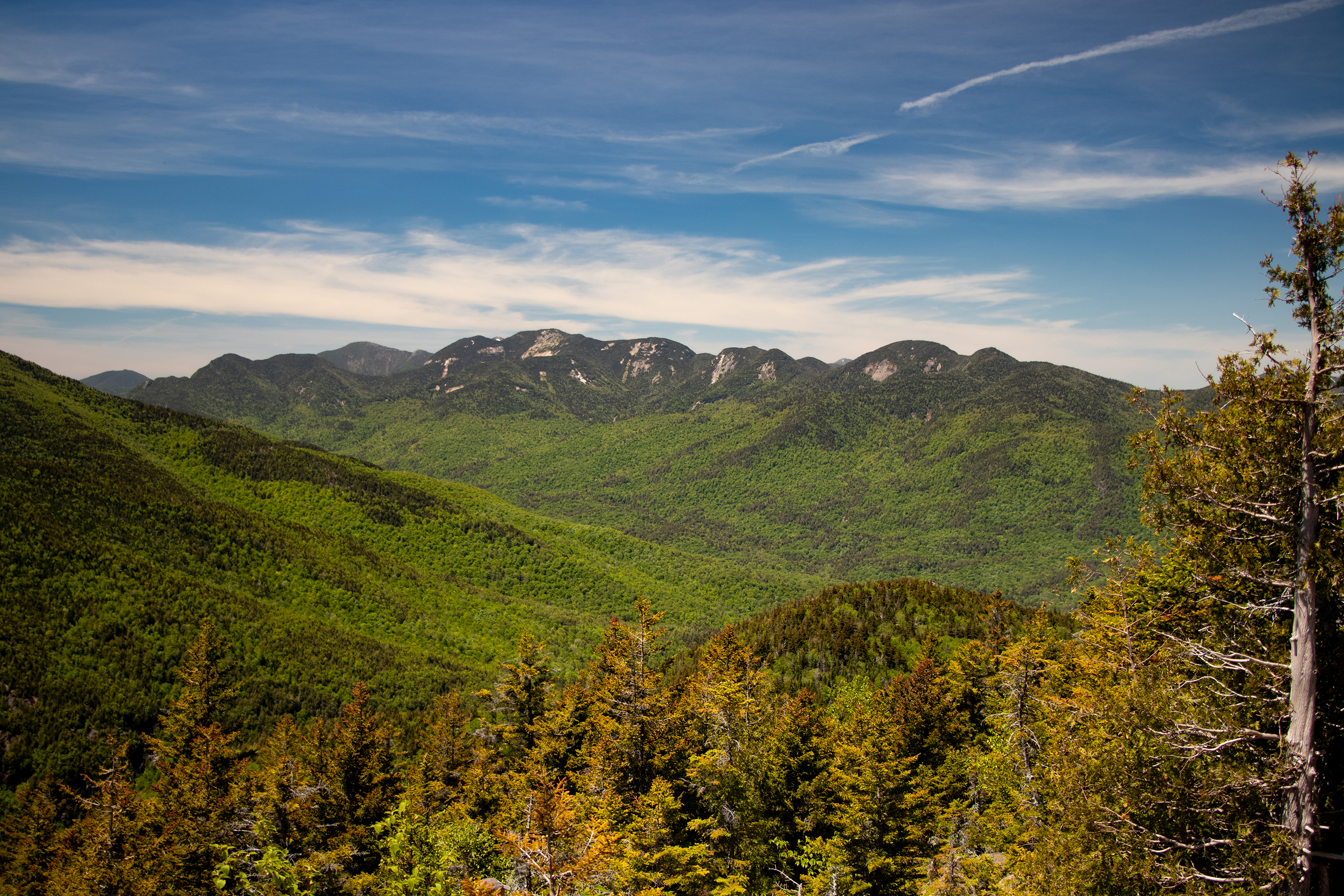 5 Things You Need to Know | June 2019 ADK Conservation News