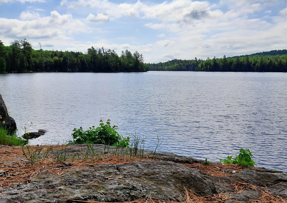 5 Things You Need to Know | April 2022 ADK Conservation News