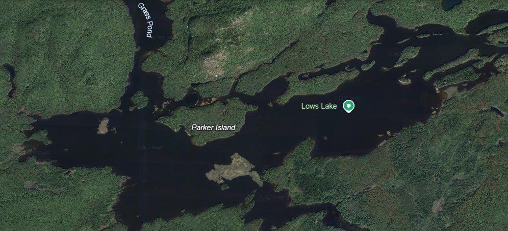 Aerial view of Lows Lake