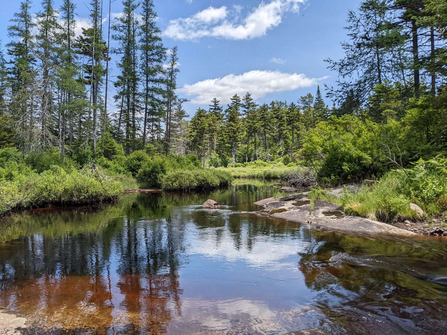 Recently preserved lands in the western Adirondacks