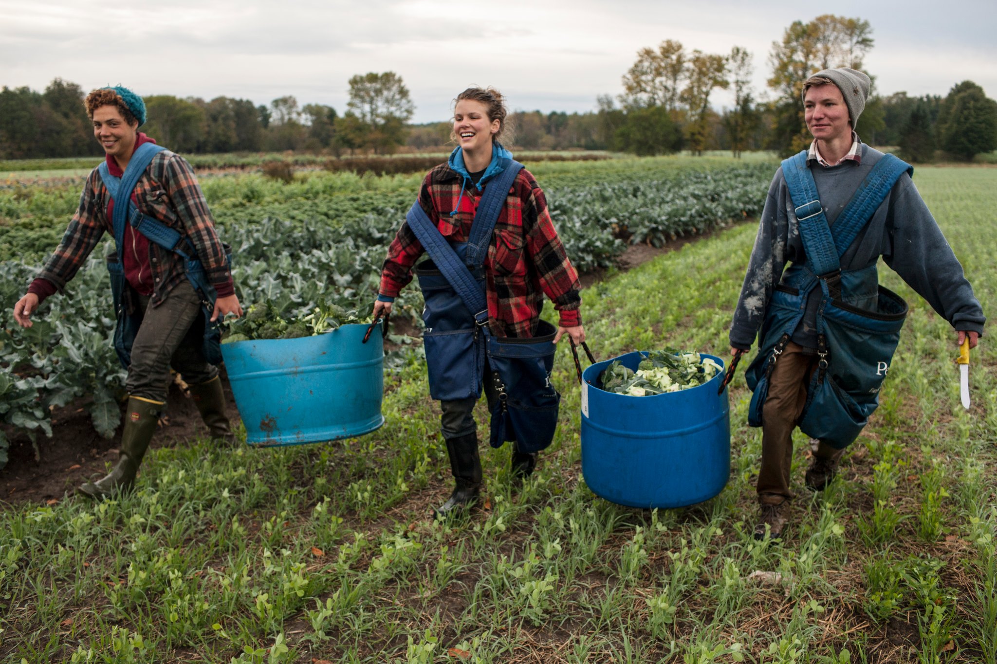 Farmers carry crops at a small farm in the Adirondacks