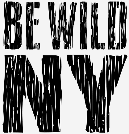 Uploaded Image: /vs-uploads/Logos/BeWildNY_web.jpg