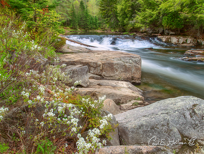Uploaded Image: /vs-uploads/adirondack-quotes-3/April Carl Heilman.jpg