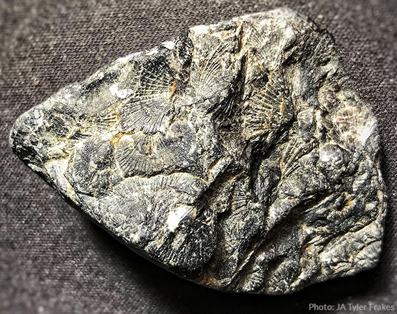 The Adirondacks Rock! Part 1: The Beginning The Adirondacks Rock! Part 1: The Beginning