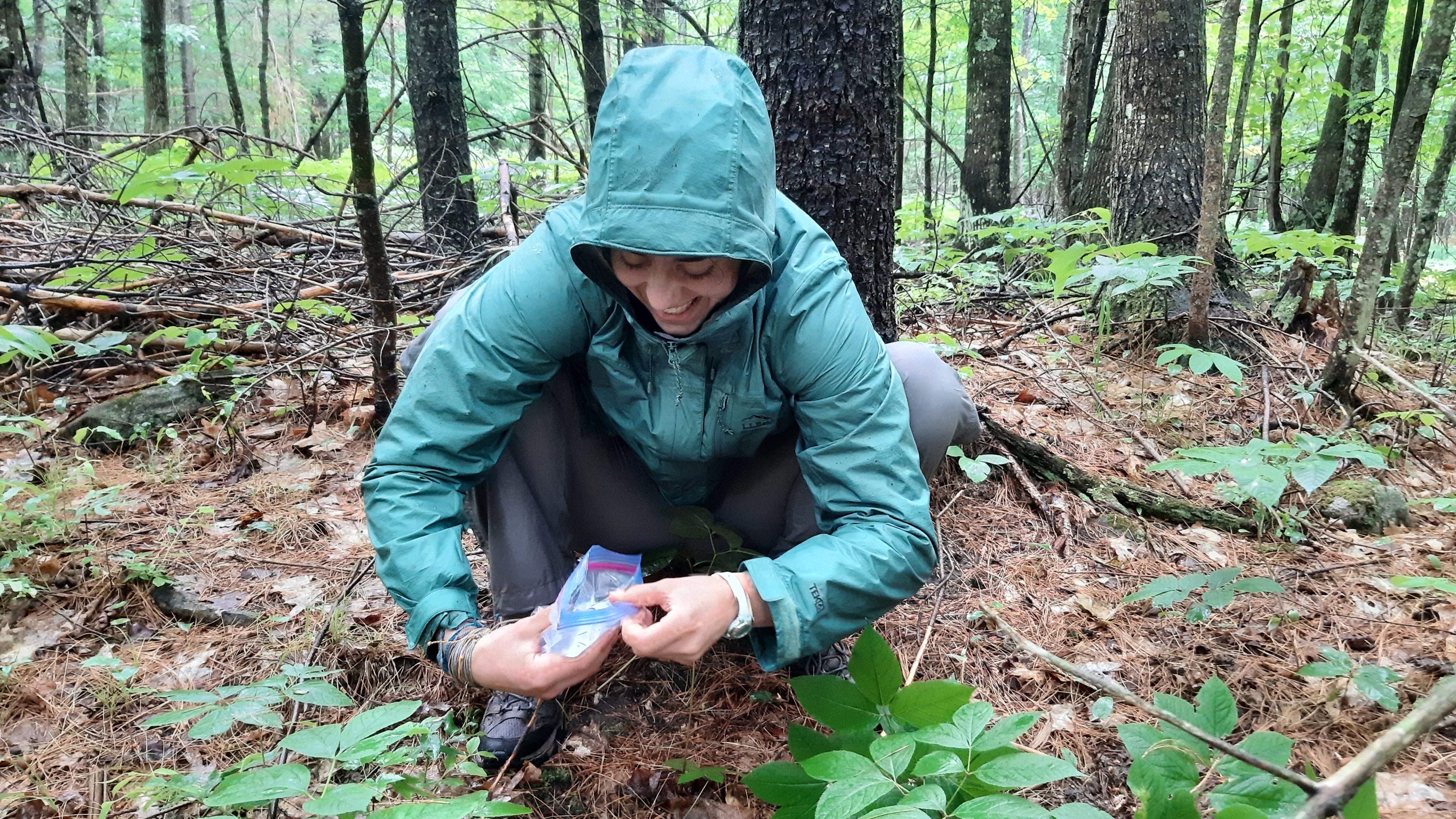 Andrea Shipton picks up deer poop with a bag as part of her work duties 