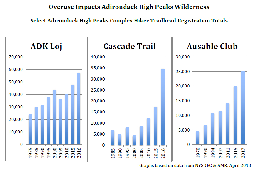 Adirondack Hatch Chart