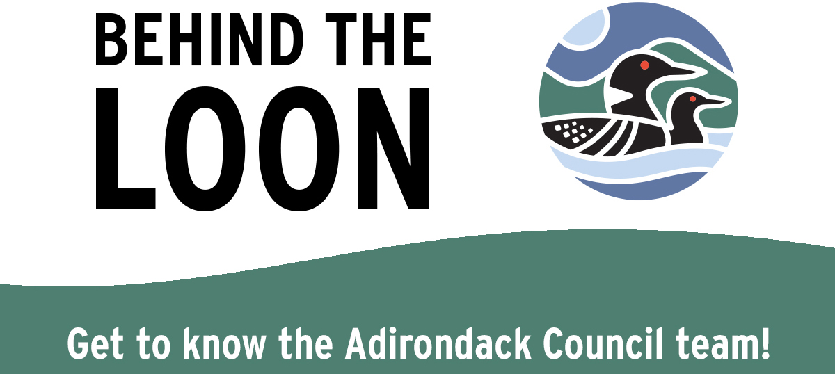 Behind the loon logo