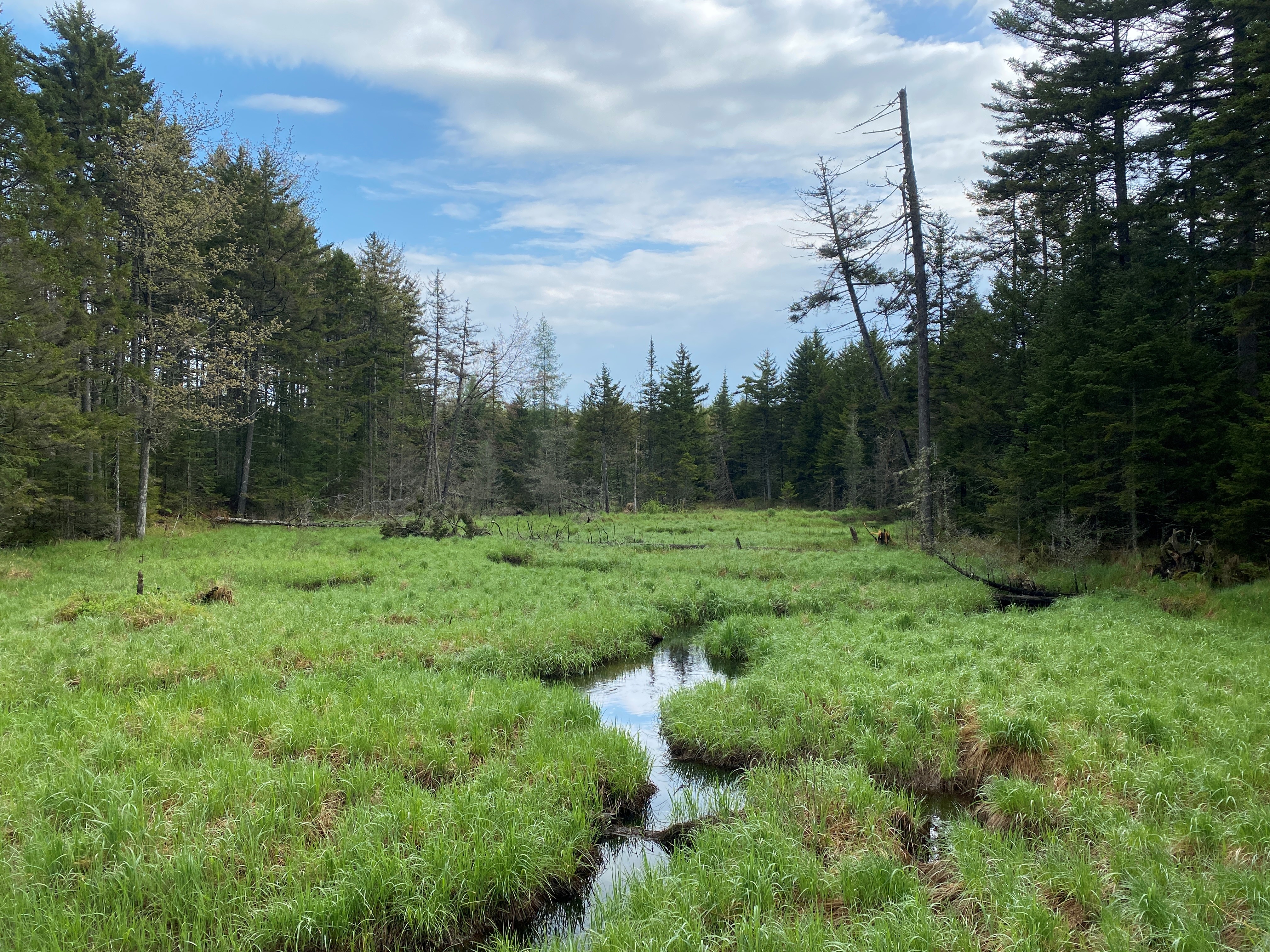 Oswegatchie River