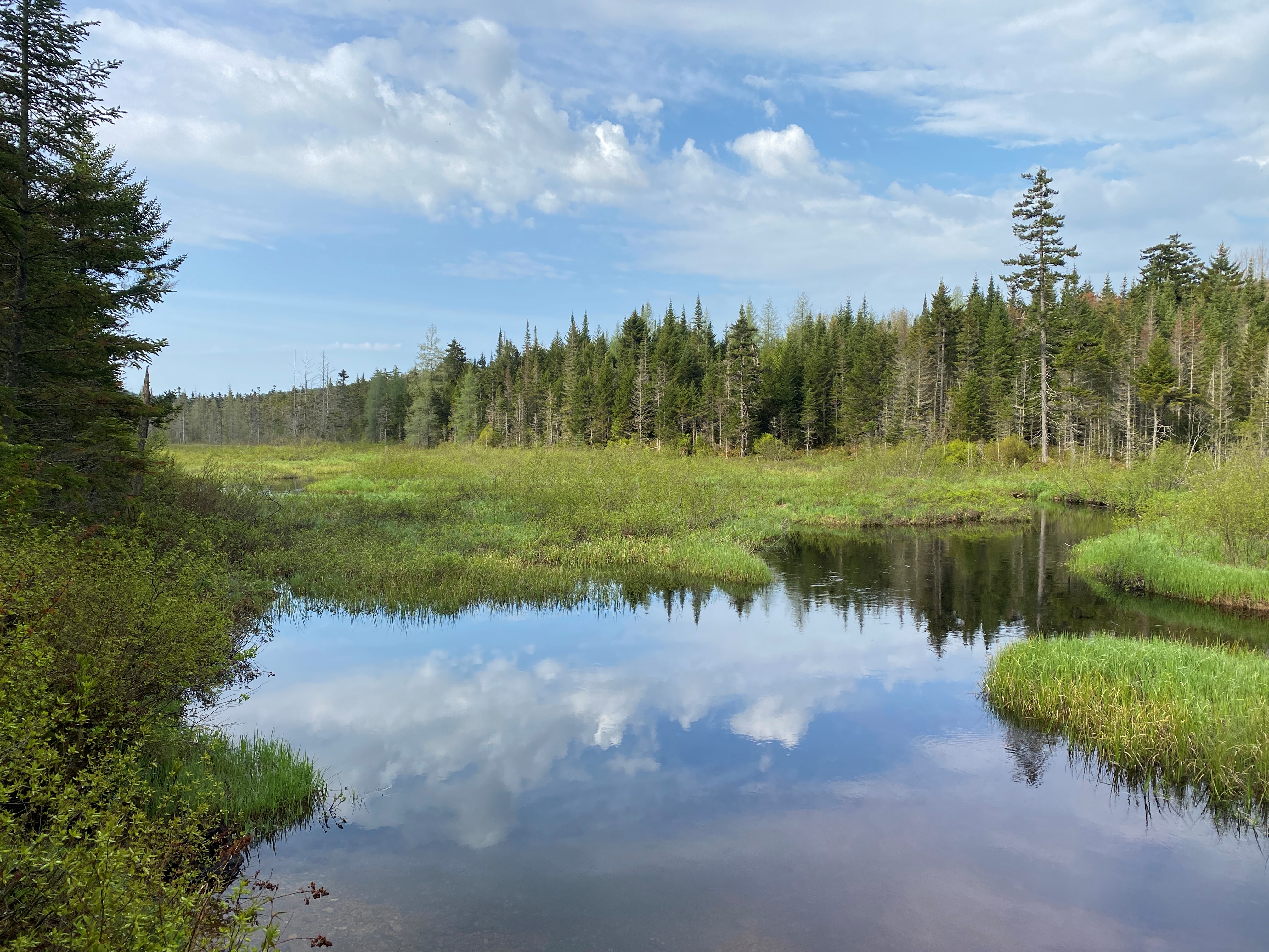 Oswegatchie River