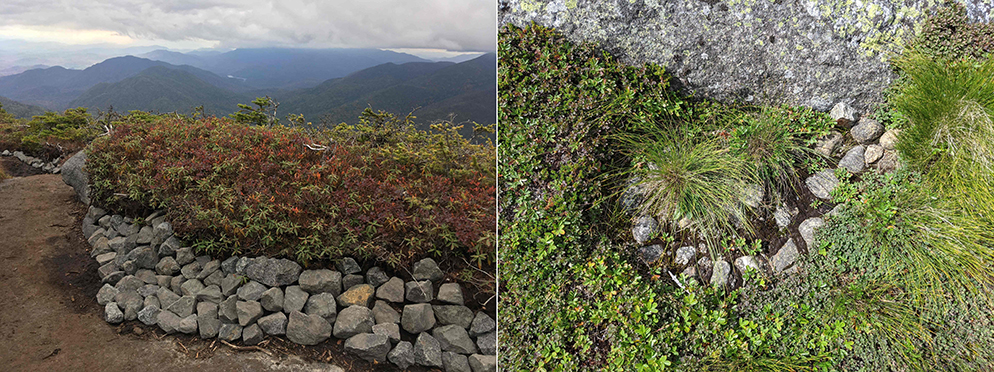 Uploaded Image: /vs-uploads/blogfragilityabovetreeline/Rockpacking_Before_After.jpg