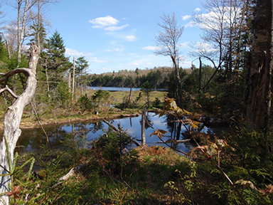 Uploaded Image: /vs-uploads/bob blog/Upper_South-Pond_5_Ponds_Wild_small.jpg