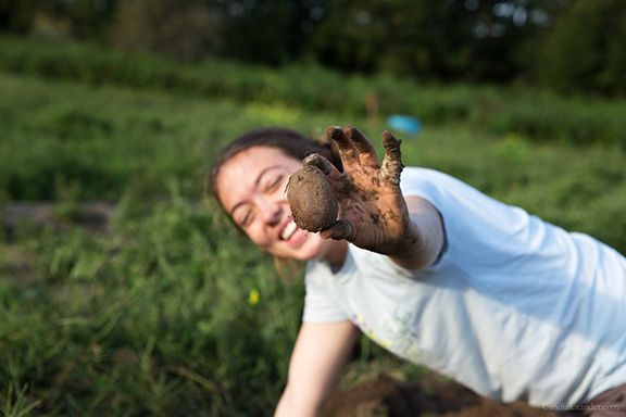 Buy Local | Supporting  Adirondack Agriculture