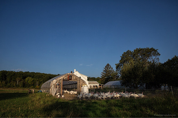 Buy Local: Supporting Adirondack Agriculture Adirondack 