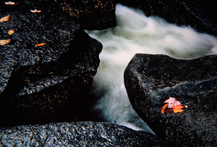 rushing water goes between rocks