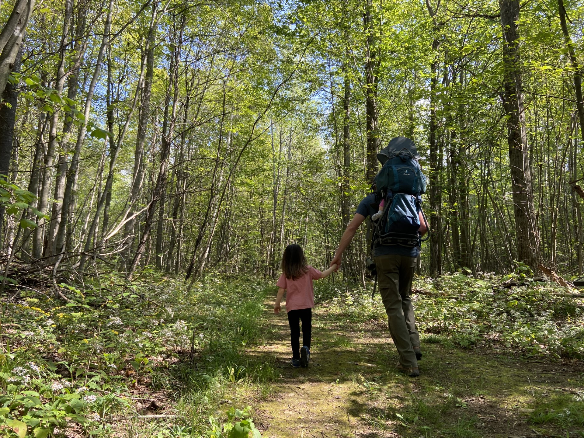 People hiking