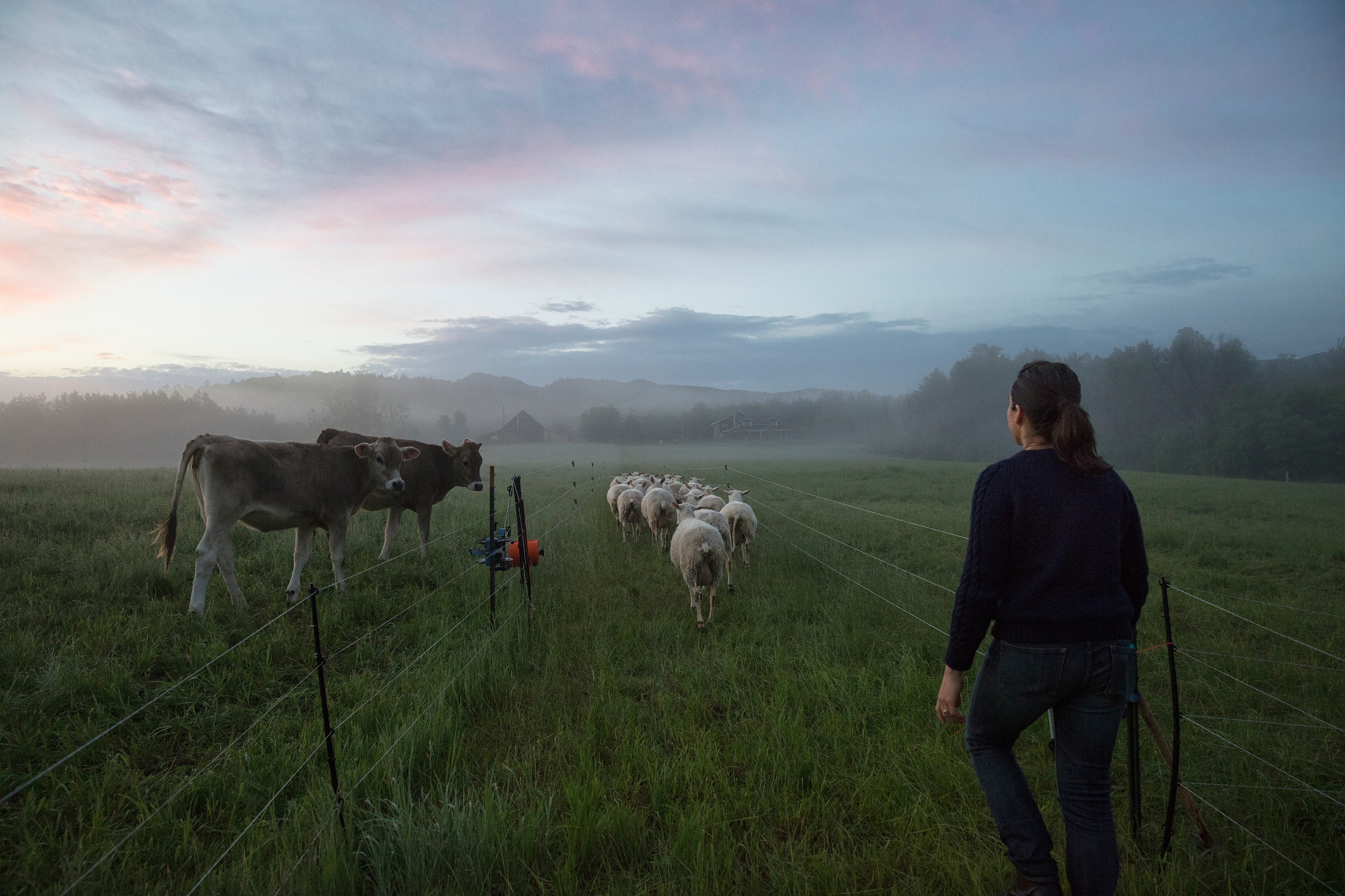 Agriculture in the Adirondacks: Past, Present, and Future 