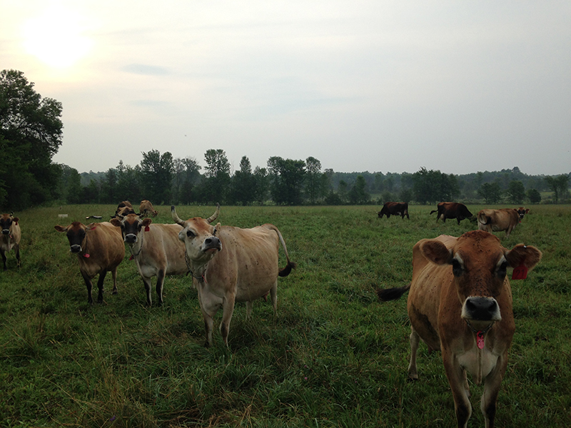 Climate Change and Agriculture in the Adirondacks