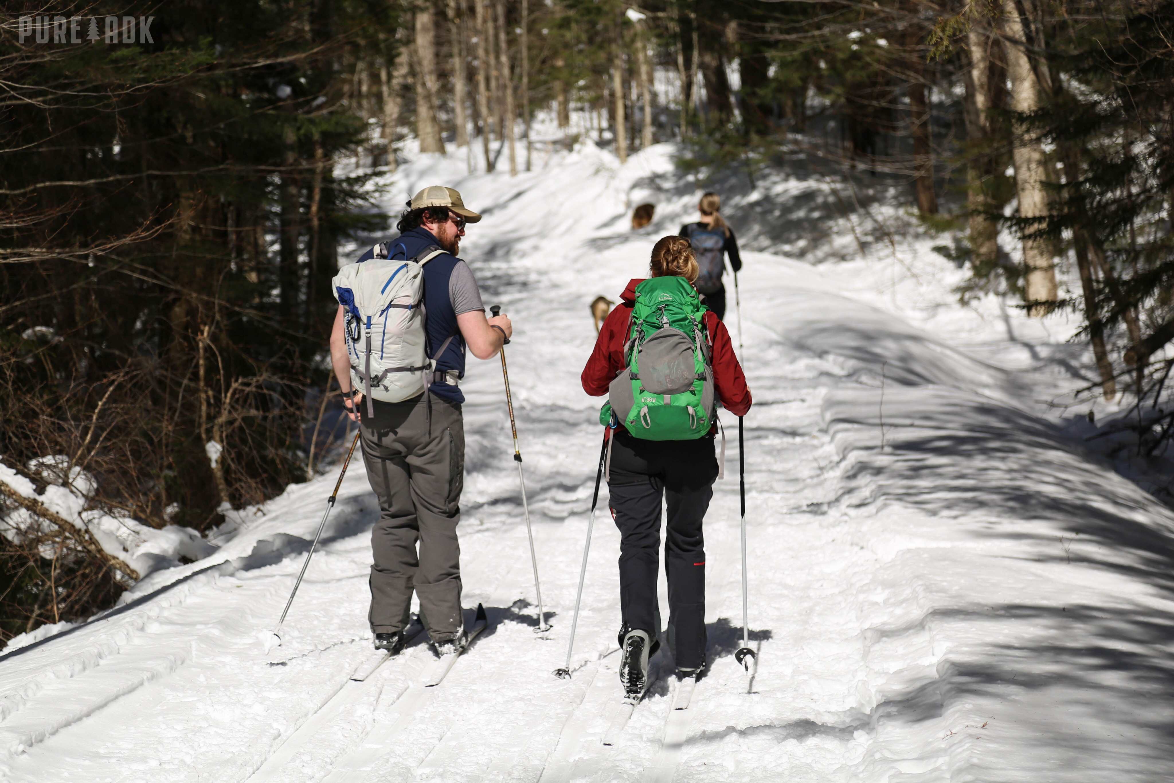 Uploaded Image: /vs-uploads/family-friendly-hikes/santanonipureadirondacks.png