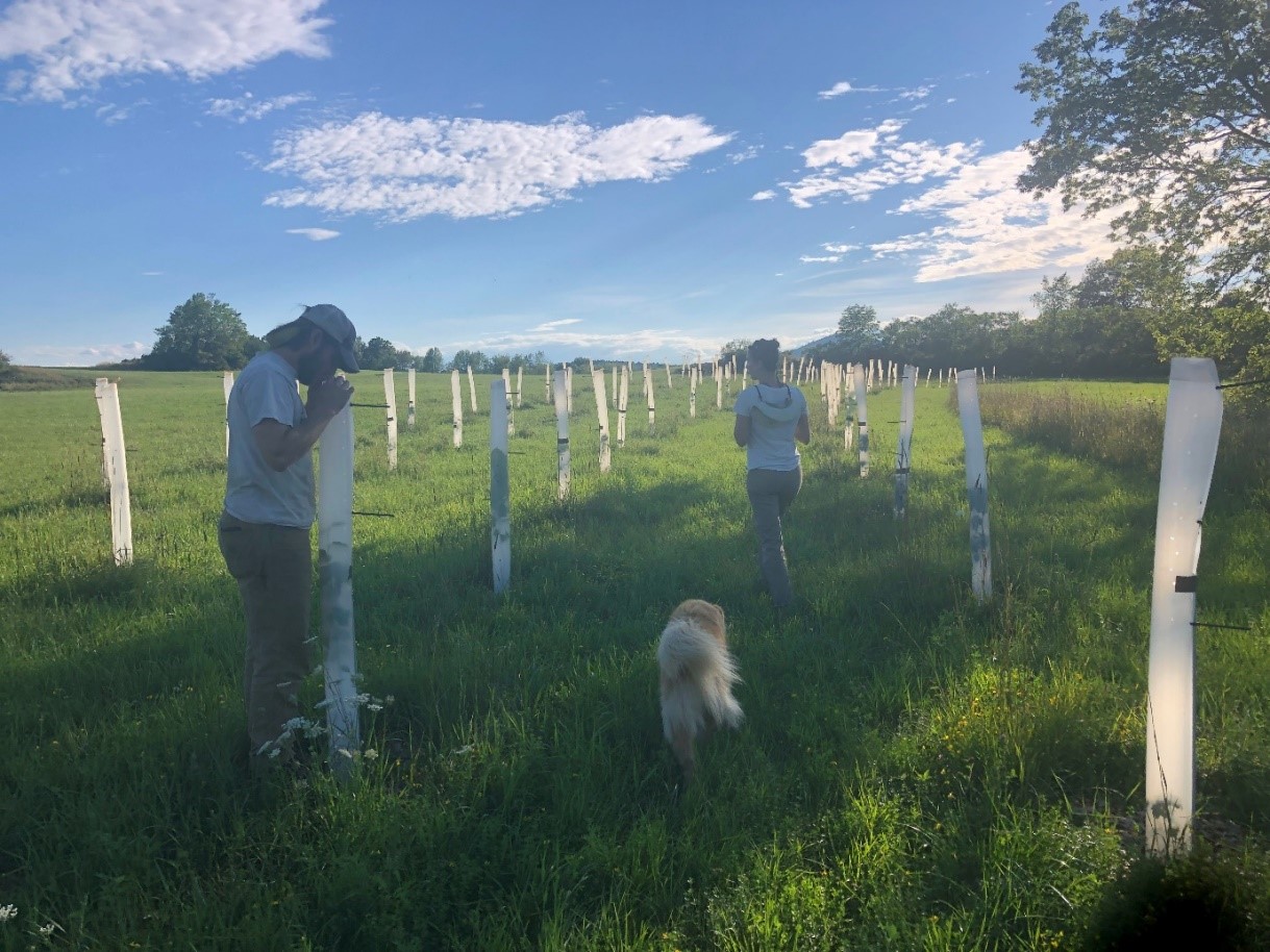 Sustainable Farming in the Champlain Valley: Catching up with Two Micro-Grant Awardees