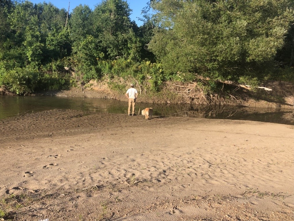 Low water on the river