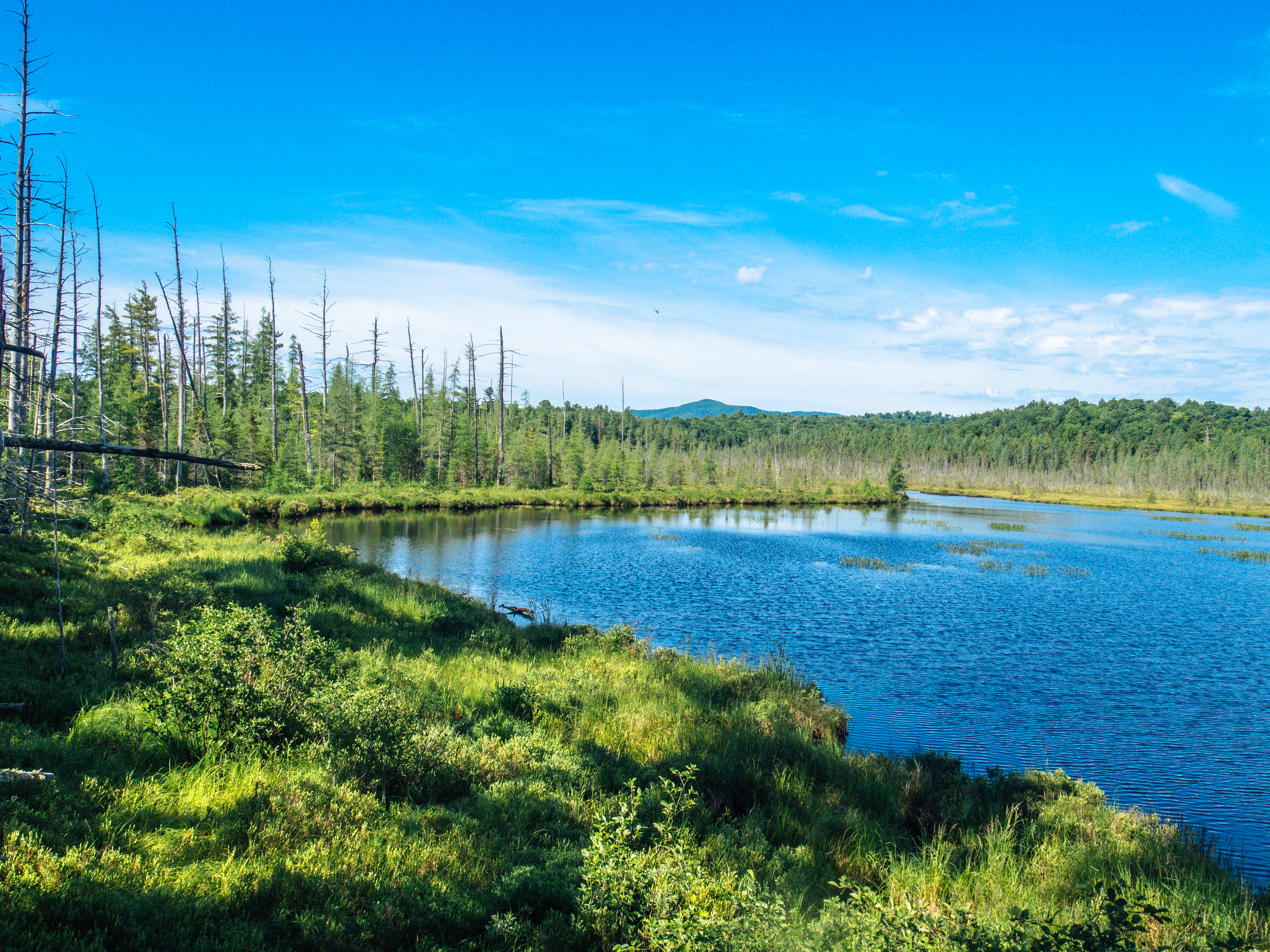 Social Media in the Adirondacks | Guest Writer @NewYorkTrails