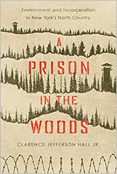 Cover of A Prison in the Woods