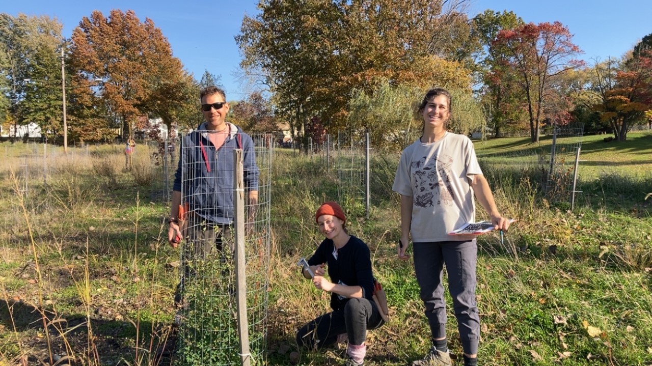 Measuring trees with interns at a city park, which was formerly a parking lot! 