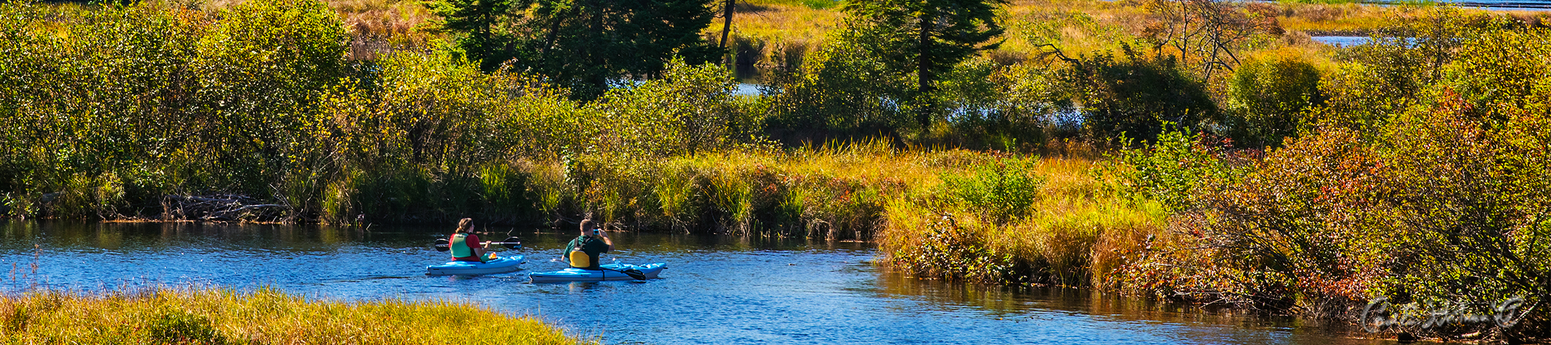 Leave No Trace Tips for the Adirondack Park