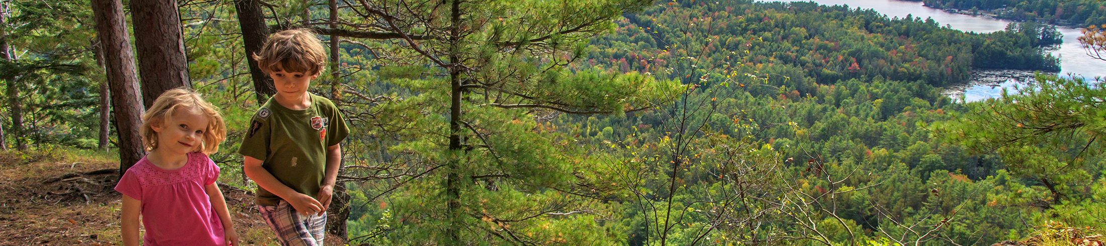 Adirondack & Environmental Activities for Kids