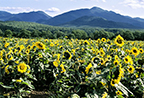 Please Join us for the Upcoming Adirondack Research Consortium Conference on May 13 and 14