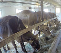 Cool Farms/Healthy Park Micro-Grant Recipient Demonstrates Sustainability Worth Every Penny