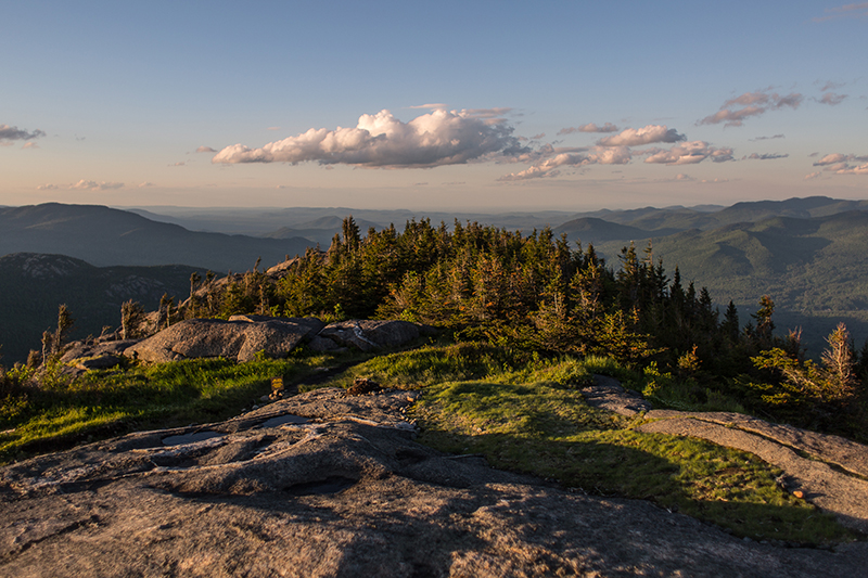 Adirondack Council Budget Testimony Critical of  Tax Payment Change, Supports Healthy Forests