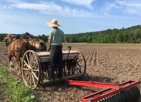 Full and By Farm Horse Powered Equipment