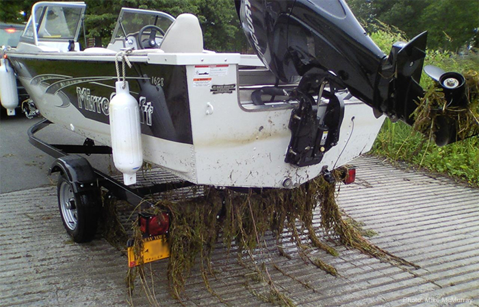 Uploaded Image: /vs-uploads/images/Boat_with_plants_Mike_McMurray.jpg