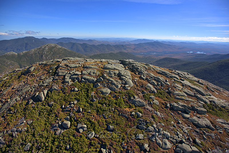 Fragility Above the Treeline