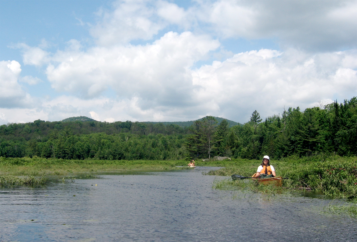 Wilcox Lake Wild Forest