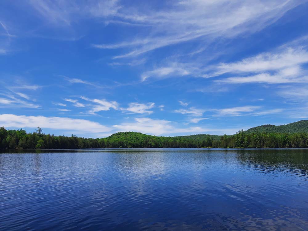 5 Things You Need to Know | July 2021 ADK Conservation News