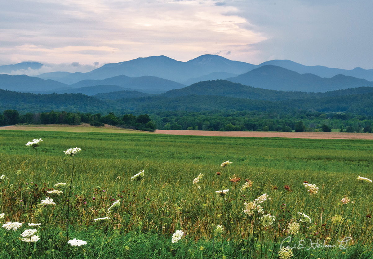 Farmland in Champlain Valley - Carl Heilman