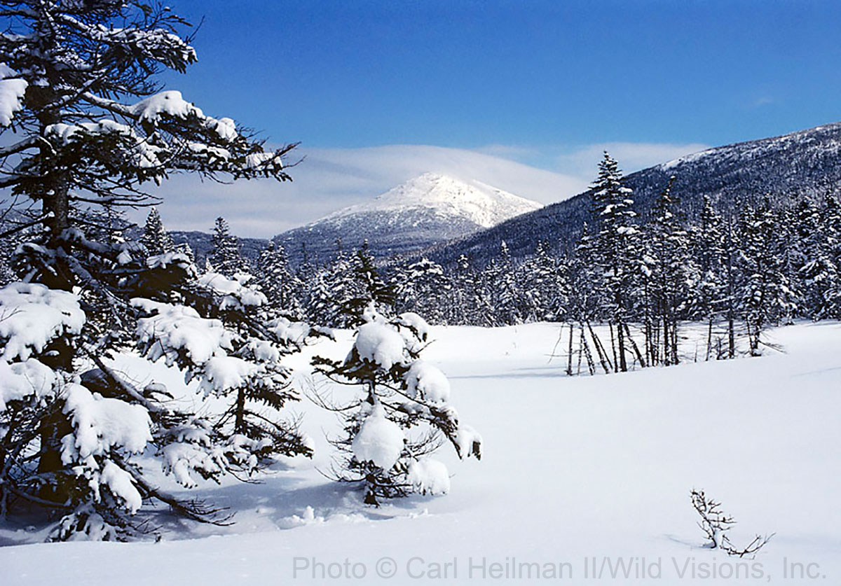 Winter - Carl Heilman