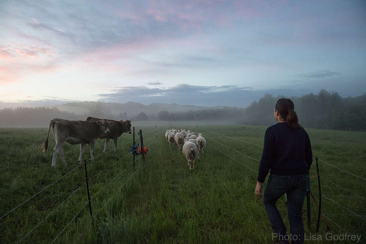 Farm in Fog - Lisa Godfrey